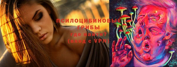 бошки Бугульма