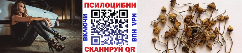Галлюциногенные грибы Magic Shrooms  продажа наркотиков  Можга 